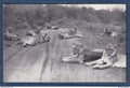Afrique du Sud - Carte postale - Kruger Park - Lion - Lions - animaux - réserve