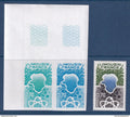 France - Essais de couleur - YT n° 1865 ** - Neuf sans charnière - 1976