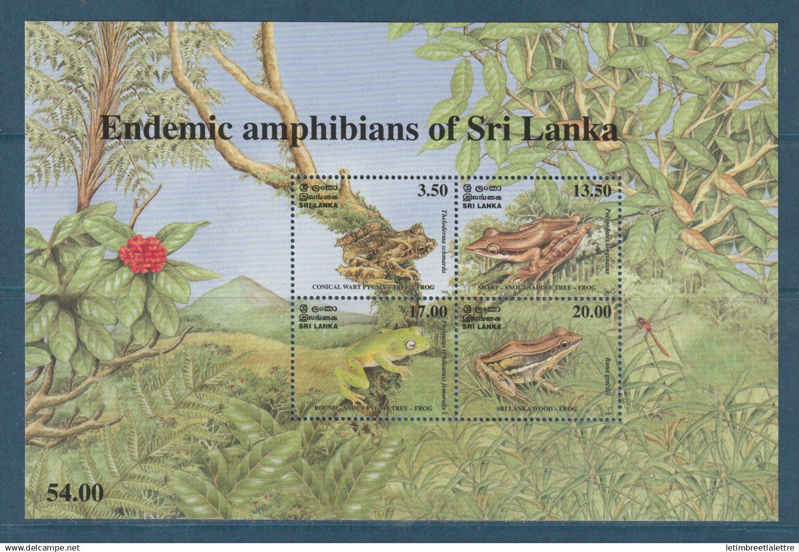Ceylan - Sri Lanka - Bloc YT n° 80 ** neuf sans charnière - faune endémique - batraciens - Grenouille - 2001