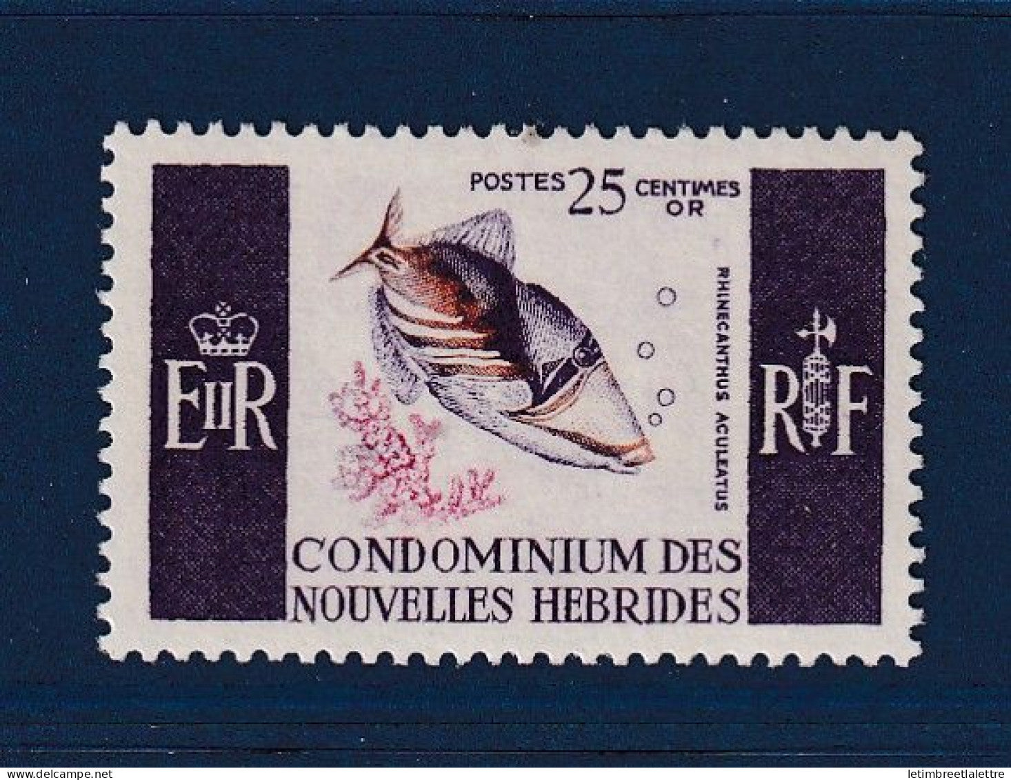 Nouvelles Hébrides - YT n° 240 ** - Neuf sans charnière - poissons - 1966