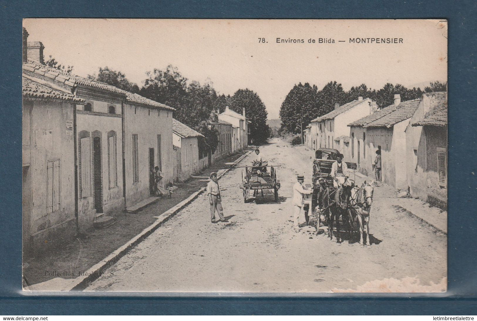 ⭐ Algérie - Carte postale - CPA - Environs de Blida - Montpensier ⭐
