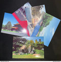 Chine - Entier postal - Lot de 4 entiers postaux - Diaoyutai - Special pre stamped postcards - 1999
