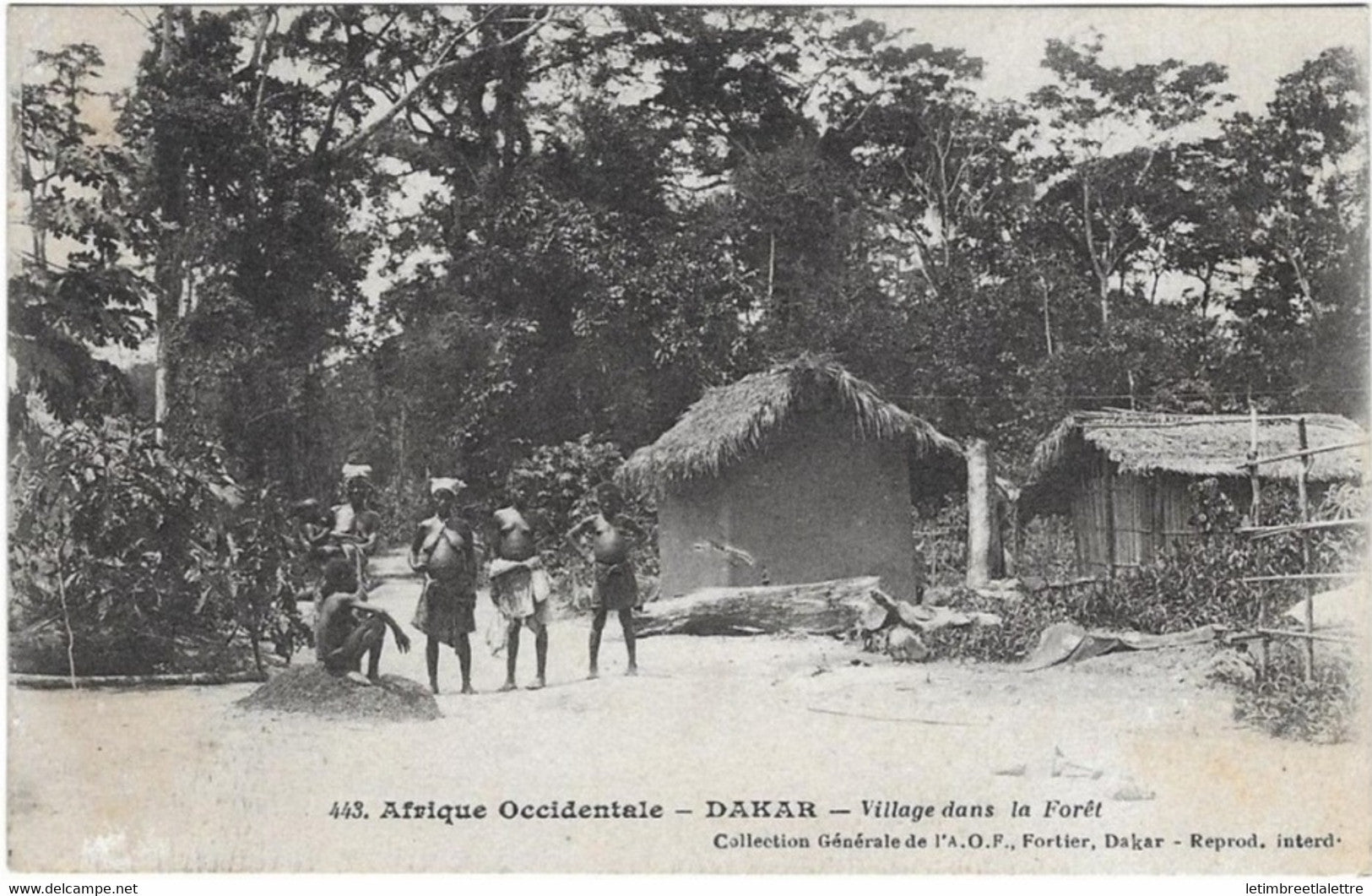 ⭐ Sénégal - Carte postale - Dakar - village dans la forêt ⭐