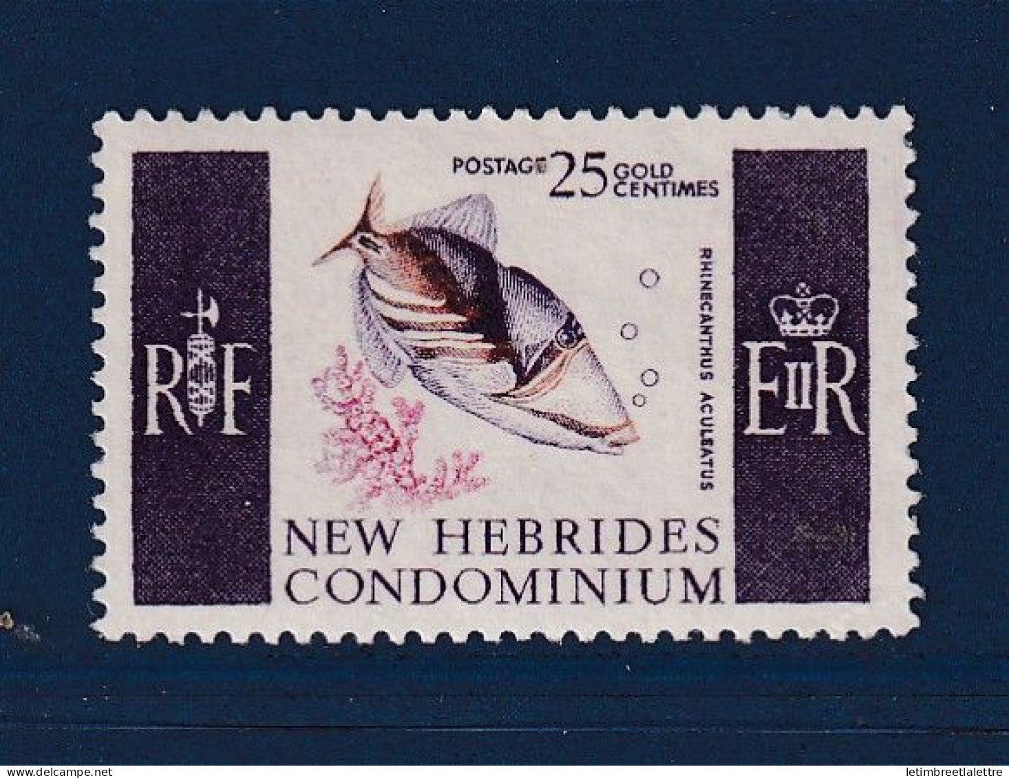 Nouvelles Hébrides - YT n° 242 ** - Neuf sans charnière - poissons - 1966
