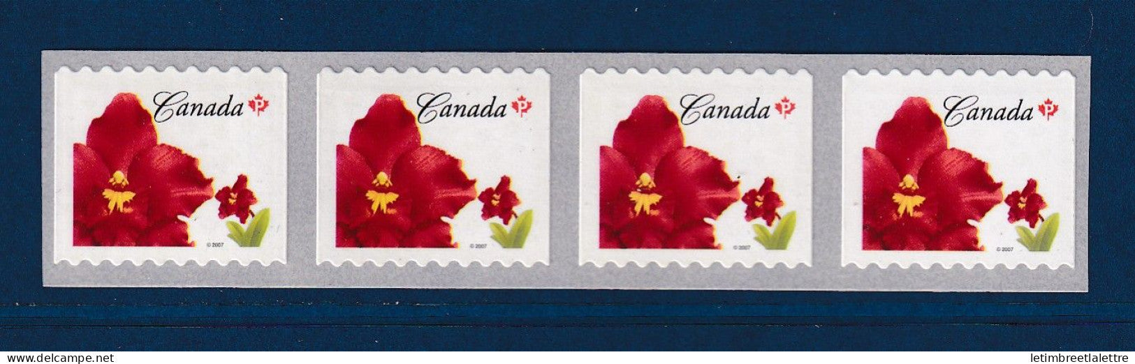 Canada - YT n° 2324 a ** - neuf sans charnière - flores - 2007