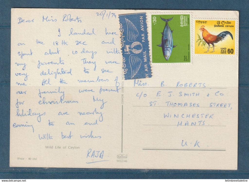 Ceylan - Sri Lanka - carte postale pour le royaume Uni - wild life of Ceylon - éléphant