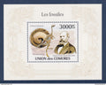 Comores - YT n° B 242 ** - Neuf sans charnière - les fossiles - 2010
