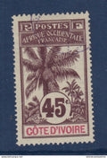 Côte d'Ivoire - YT n° 30 - Oblitéré - 1906 1907