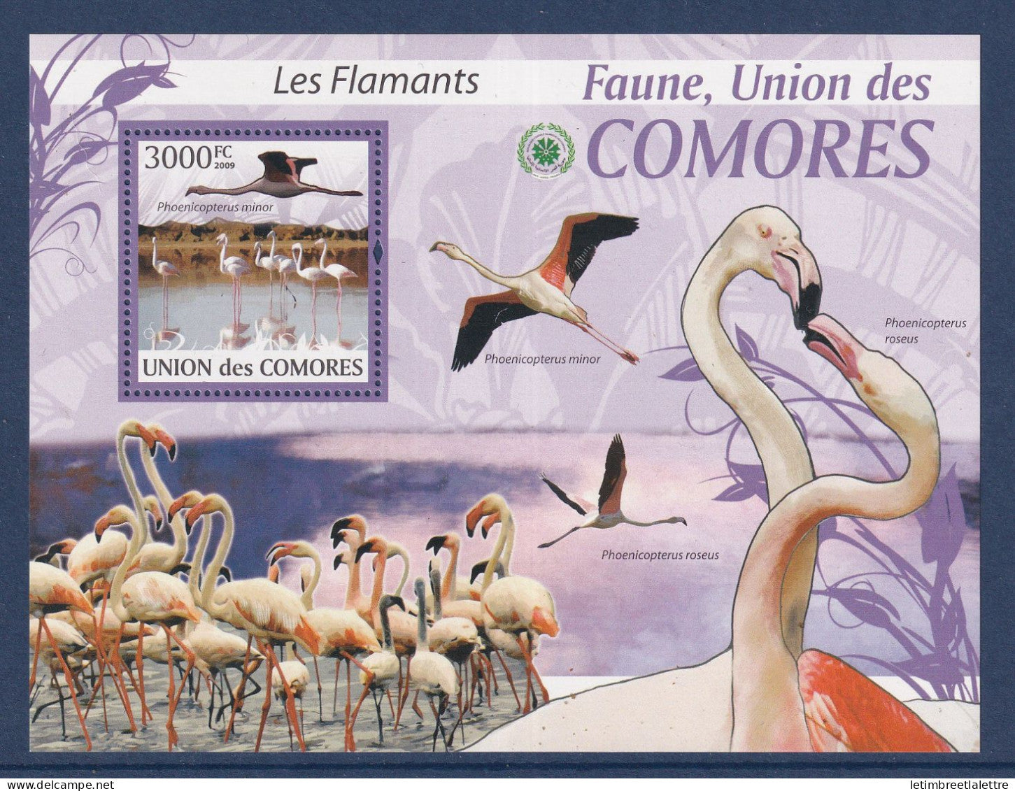Comores - bloc YT n° 209 ** - Neuf sans charnière - les flamands - oiseaux - 2009