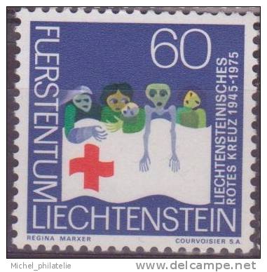 ⭐ Liechtenstein - YT n° 568 ** - neuf sans charnière ⭐