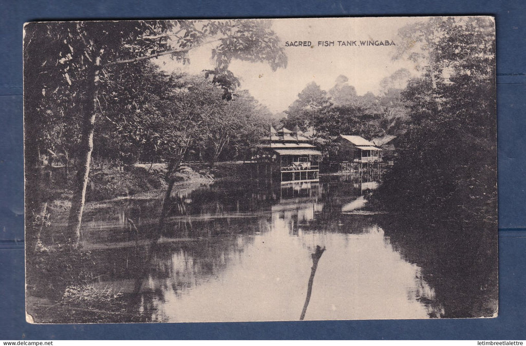 Myanmar - Birmanie - Burma - carte postale - sacred fish tank - Wingaba
