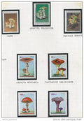 Thematique champignons