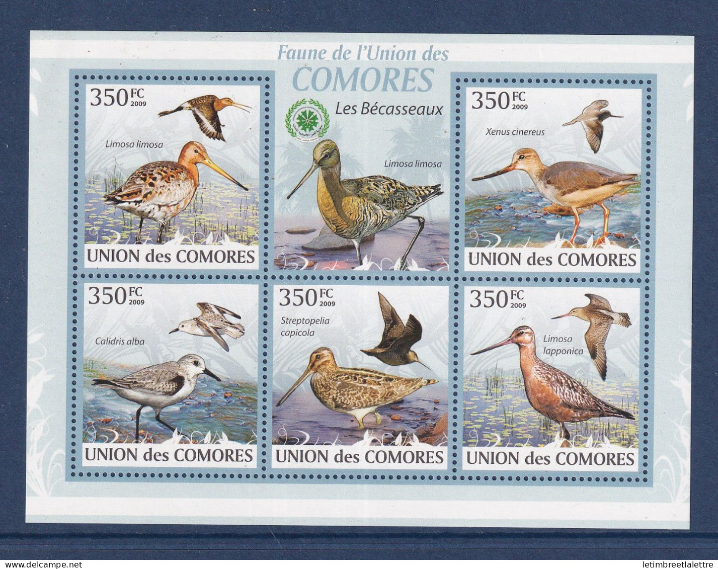 Comores - YT n° 1726 à 1730 ** - Neuf sans charnière - les bécasseaux - oiseaux - 2009