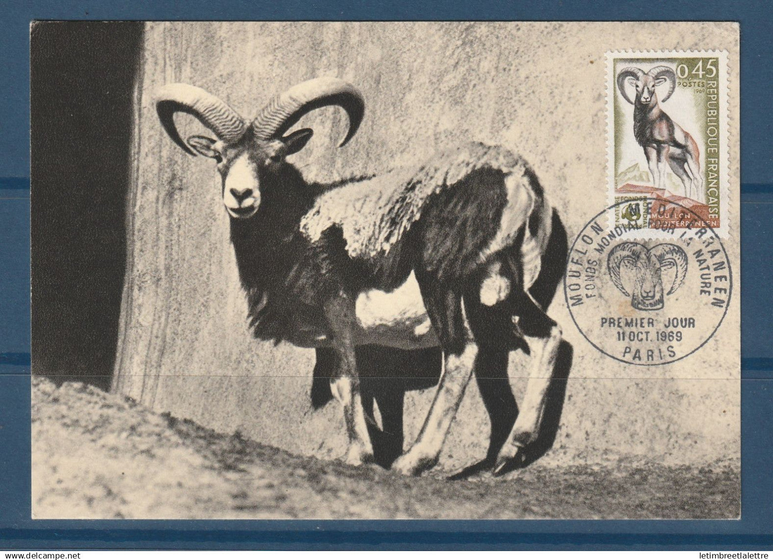 France - YT n° 1613 - carte maximum - premier jour Mouflon Méditerranéen - 1969