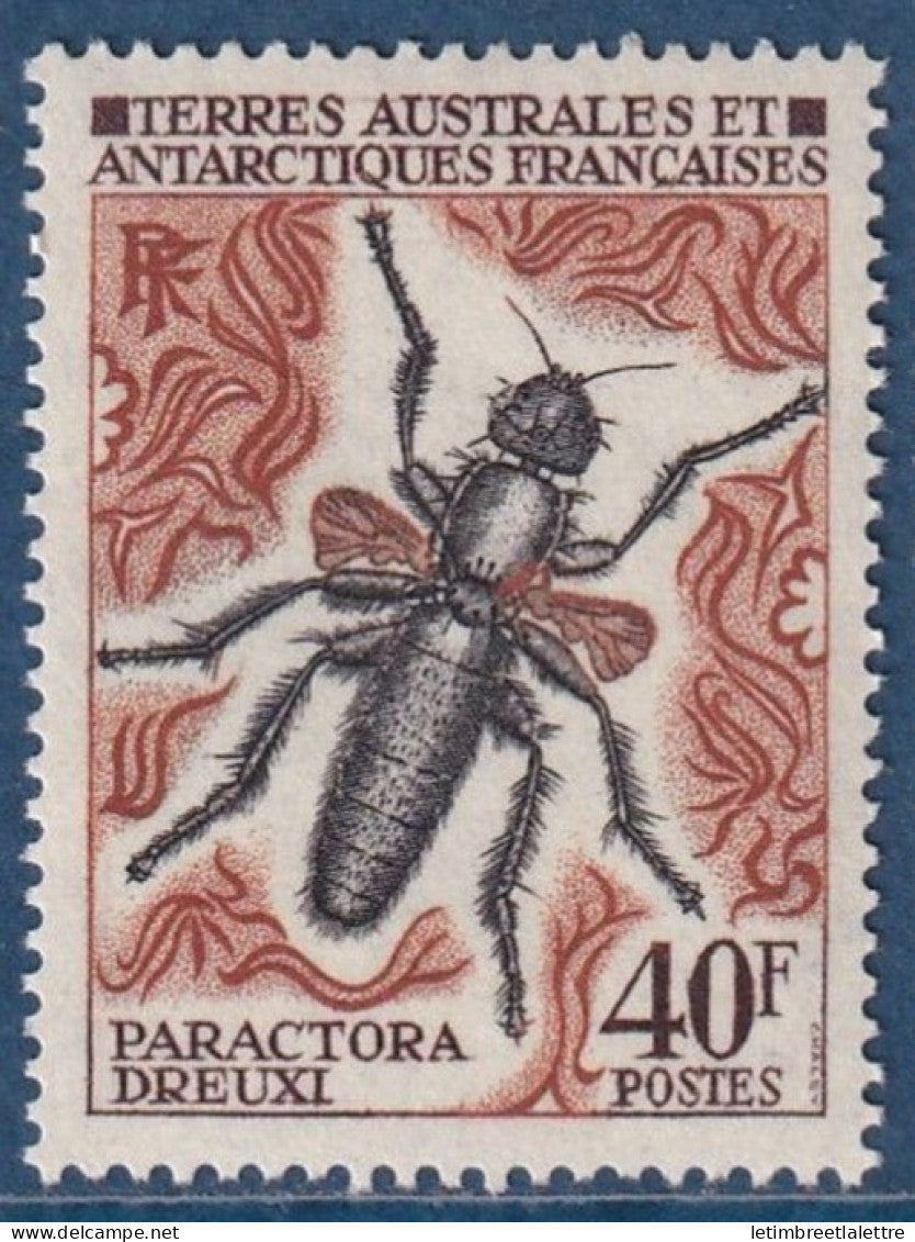 TAAF - YT n° 41 ** - Neuf sans charnière - insectes - 1972