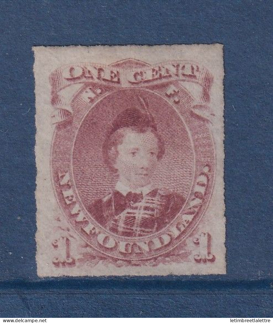 Terre Neuve - YT n° 31 * - neuf avec charnière - 1876 1879