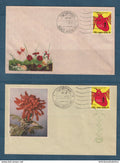 Myanmar - Birmanie -  Burma - YT n° 144 A - FDC premier jour World Health Day - thématique fleur - 1972