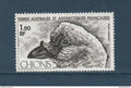TAAF - Poste Aérienne - YT PA n° 67 ** - Neuf sans charnière - 1981