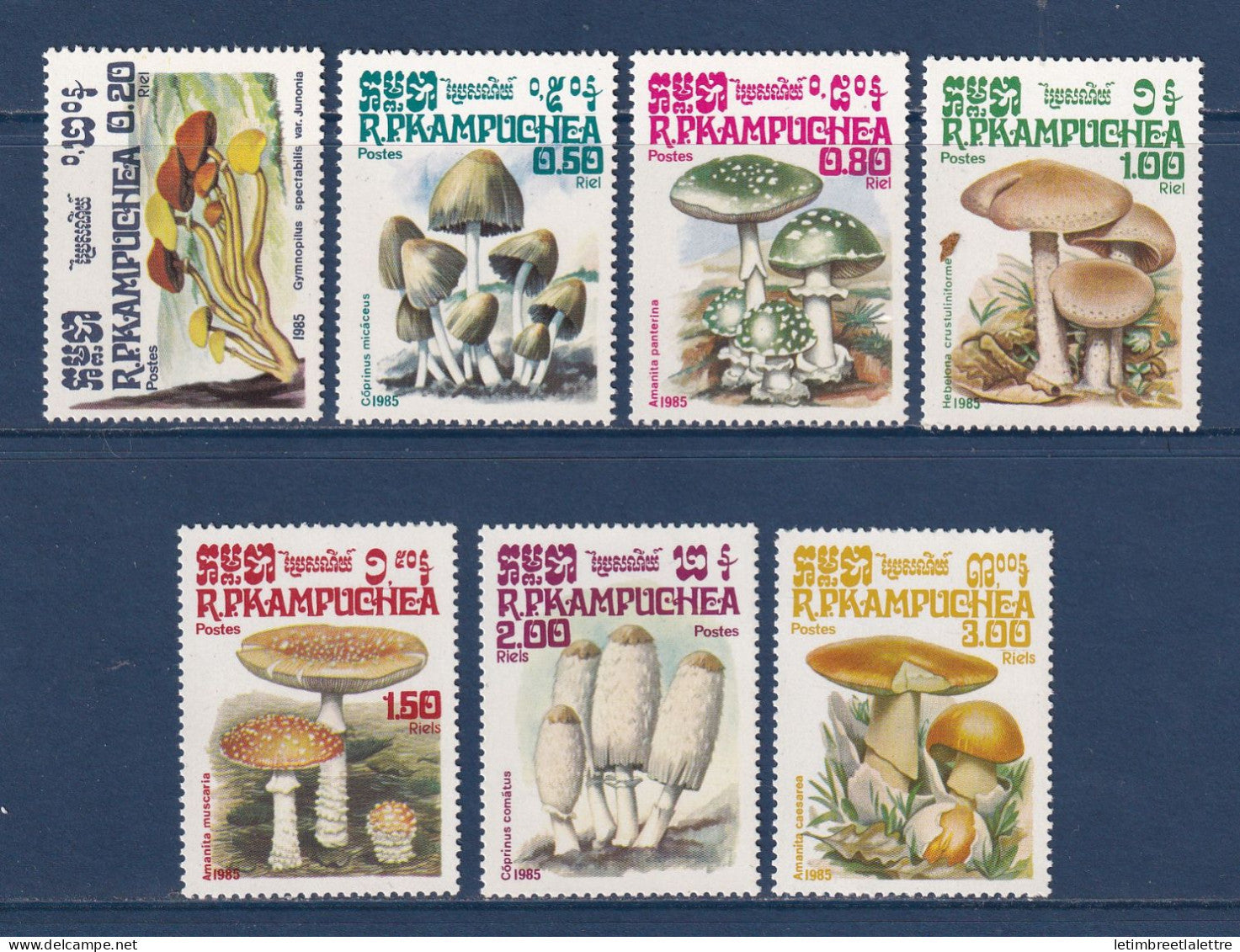 Kampuchéa - YT n° 576 à 582 ** - Neuf sans charnière - Champignons - 1985