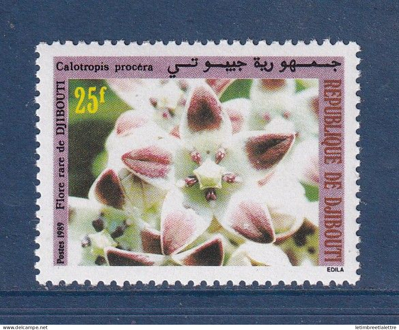 Djibouti - YT n° 655 ** - Neuf sans charnière - flore - 1989