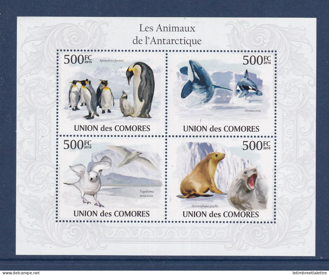 Comores - YT n° 1947 à 1950 ** - Neuf sans charnière - les animaux de l'antarctiques  - 2010