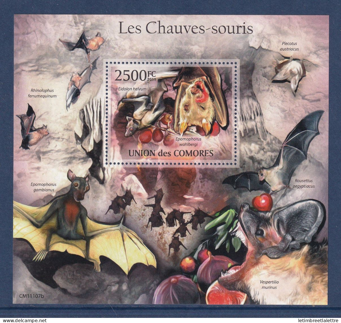 Comores - bloc YT n° 299  ** - Neuf sans charnière - les chauves souris - 2011