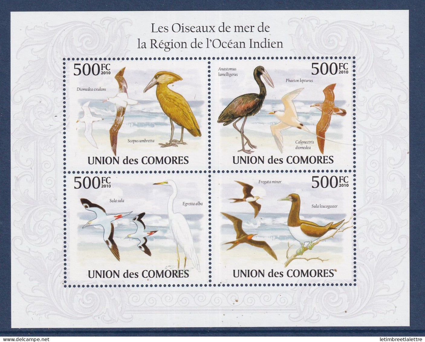 Comores - YT n° 1939 à 1942 ** - Neuf sans charnière - les oiseaux de mer de la région de l'océan Indien - 2010