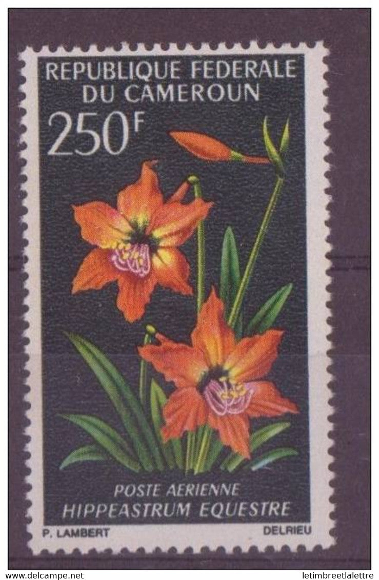 ⭐ CAMEROUN - YT n° 99 et 100 ** - Neuf sans charnière - FLEURS ⭐