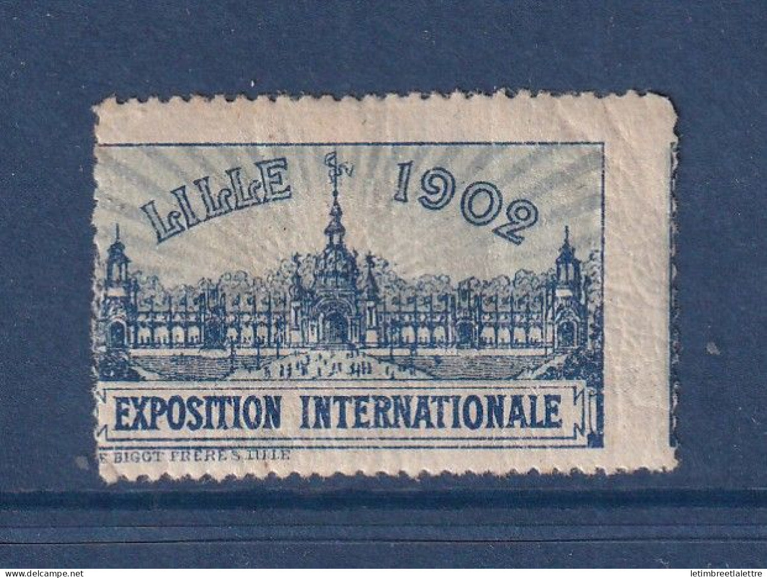 France - vignette - errinophilie - exposition internationale de Lille - *  neuf avec charnière - 1902