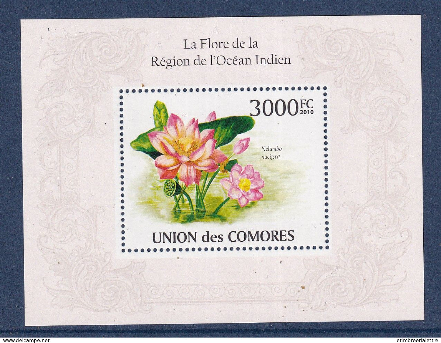 Comores - bloc ** - Neuf sans charnière - la flore de la région de l'océan Indien - 2010