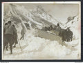 ⭐ Photo - Photographe Meurisse -  Concours de Chasse Neige dans les Alpes ⭐