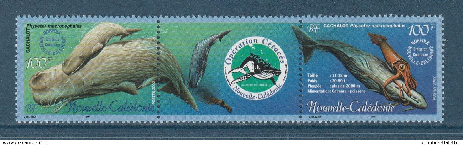 Nouvelle Calédonie - YT n° 876 et 877 ** - Neuf sans charnière - 2002
