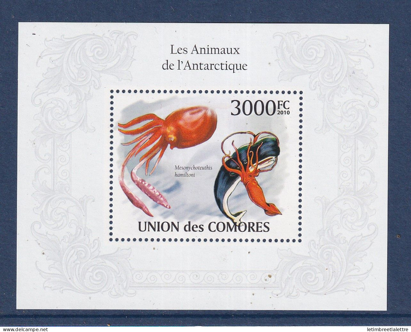 Comores - bloc YT n° 250 ** - Neuf sans charnière - les animaux de l'antarctique - 2010