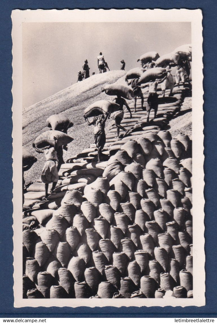 Sénégal - Carte Photo - Dakar - Stockage de l'arachide dans le port