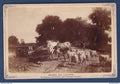 France - Carte postale - Carte photo sur cartelette - Musée du Louvre - Le retour à la Ferme par Constant Troyon