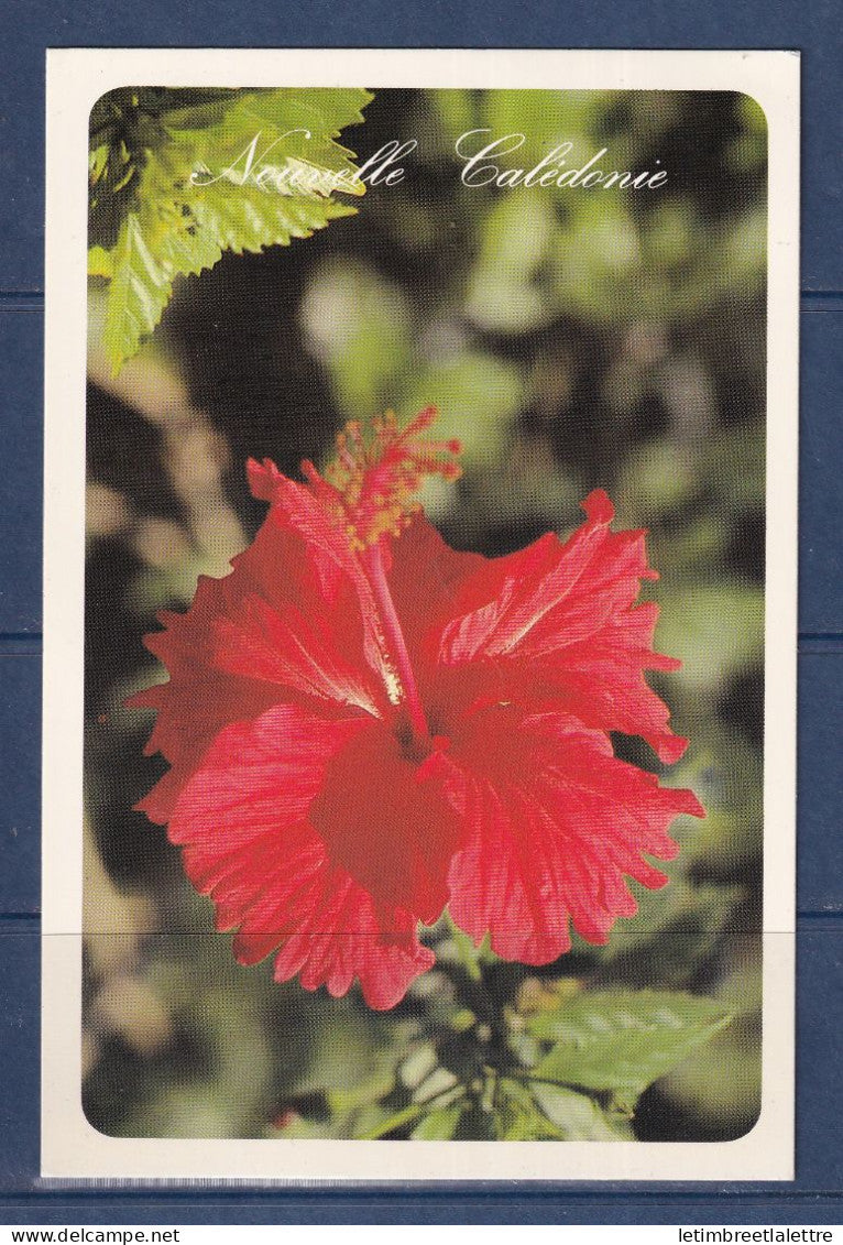 Nouvelle Calédonie - YT n° 457 et 470 Oblitéré Annexe mobile Kaala Gomen sur carte postale pour Nouméa - 1983