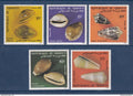 Djibouti - YT n° 609 à 613 ** - Neuf sans charnière - coquillages - 1985