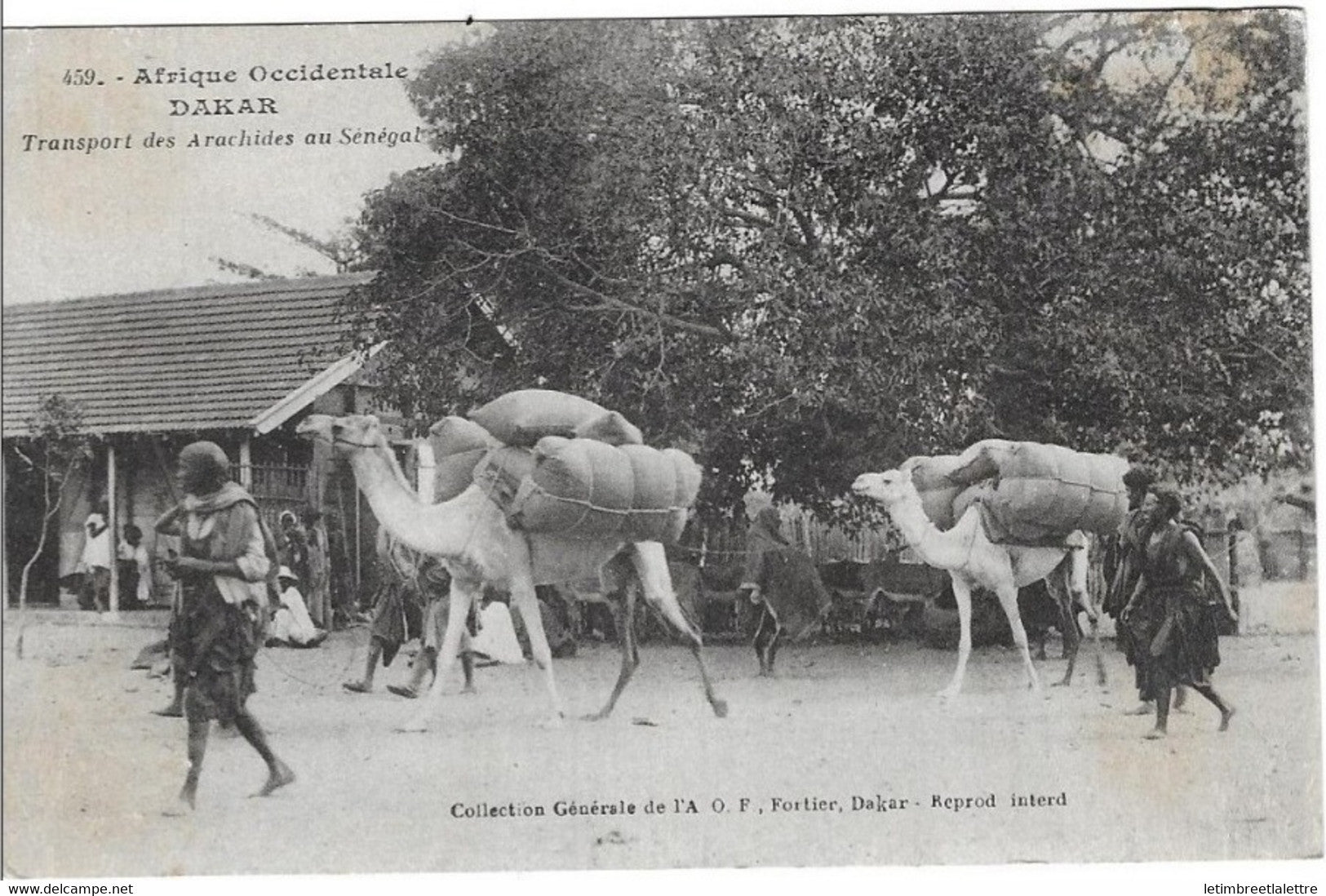 ⭐ Sénégal - Carte postale - Dakar - Transport des arachides au Sénégal ⭐
