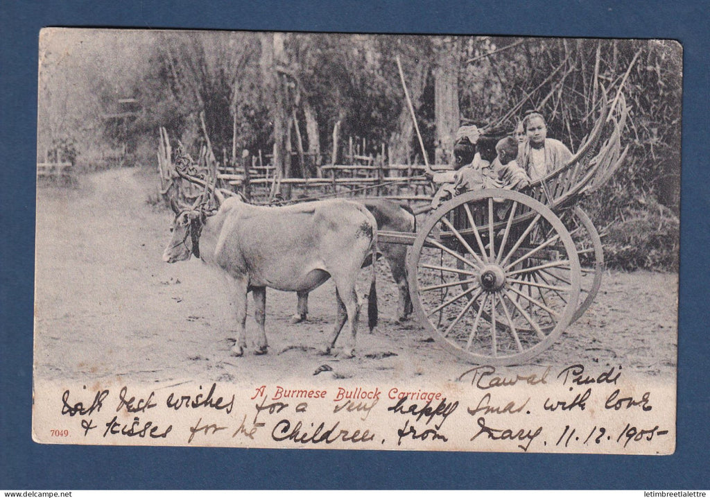 Birmanie - Burma - Carte postale - Burmese Bullock Carriage - attelage - 1905