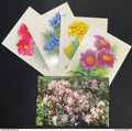 Chine - Entier postal - Lot de 4 entiers postaux - Alpine Flowers and Plant - Special pre stamped postcards - 1999