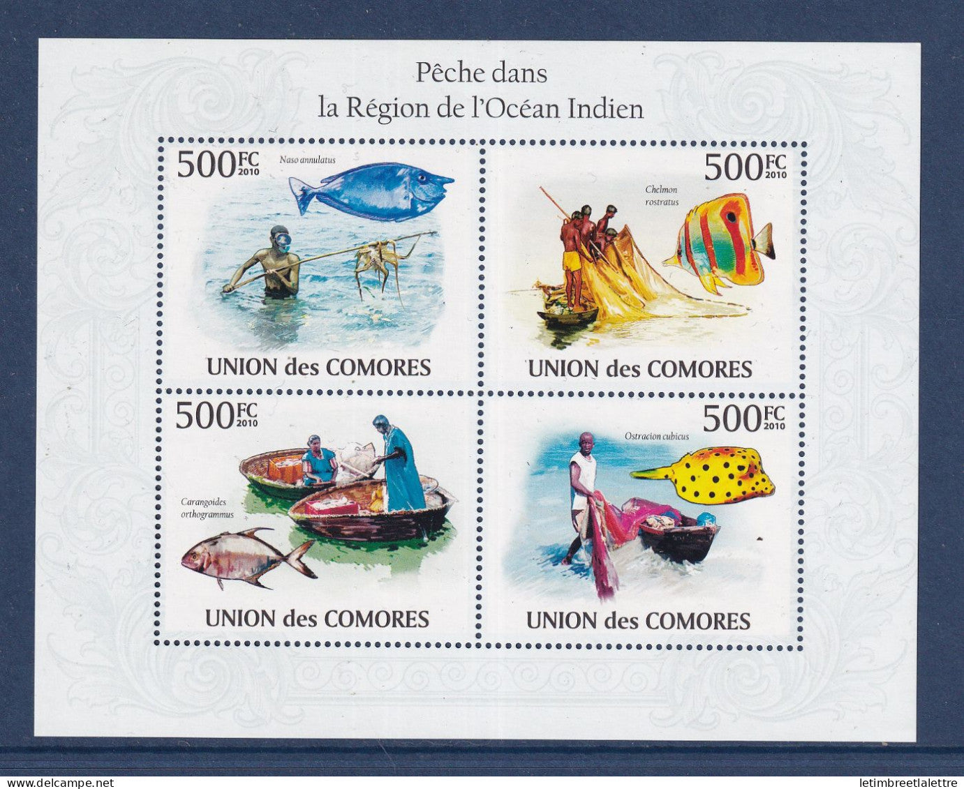Comores - YT n° 1918 à 1921 ** - Neuf sans charnière - Pêche dans la région de l'océan Indien - 2010
