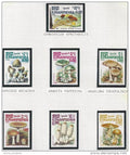Thematique champignons