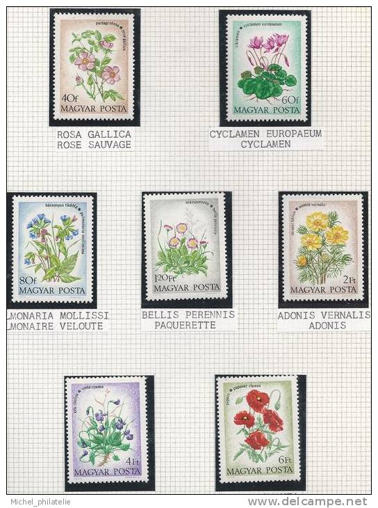 Hongrie, Thème fleures