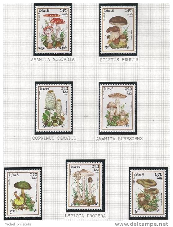 Thematique champignons