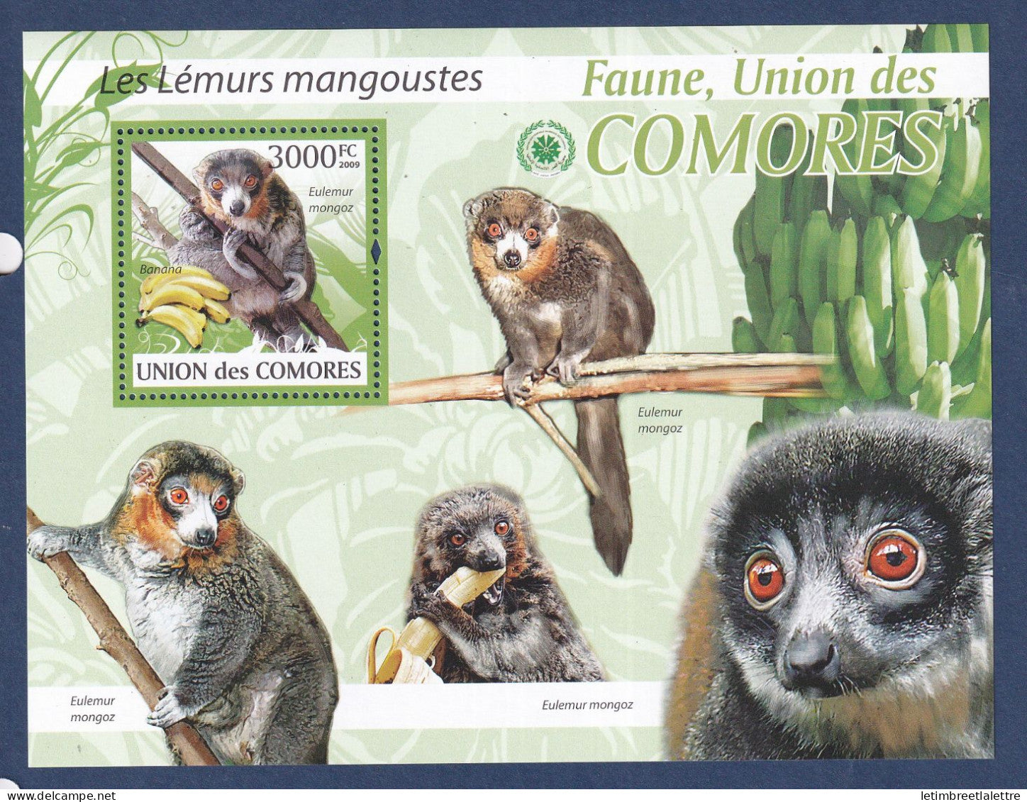 Comores - bloc YT n° 194 ** - Neuf sans charnière - les lémurs mangoustes -  2009