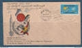Myanmar - Birmanie -  Burma - YT n° 131 - FDC premier jour anniversary united nations  - 1970