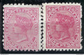 Colonie Anglaise - New Zealand - YT n° 60 * - Neuf avec charnière - Les dentelures et type