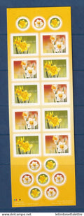 Canada  - carnet - YT n° 2142 et 2143 ** ou C 2142 - neuf sans charnière - flore - 2005