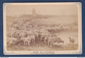 France - Carte postale - Carte photo sur cartelette - Musée du Luxembourg - Le troupeau à la Mare - Par Guignard