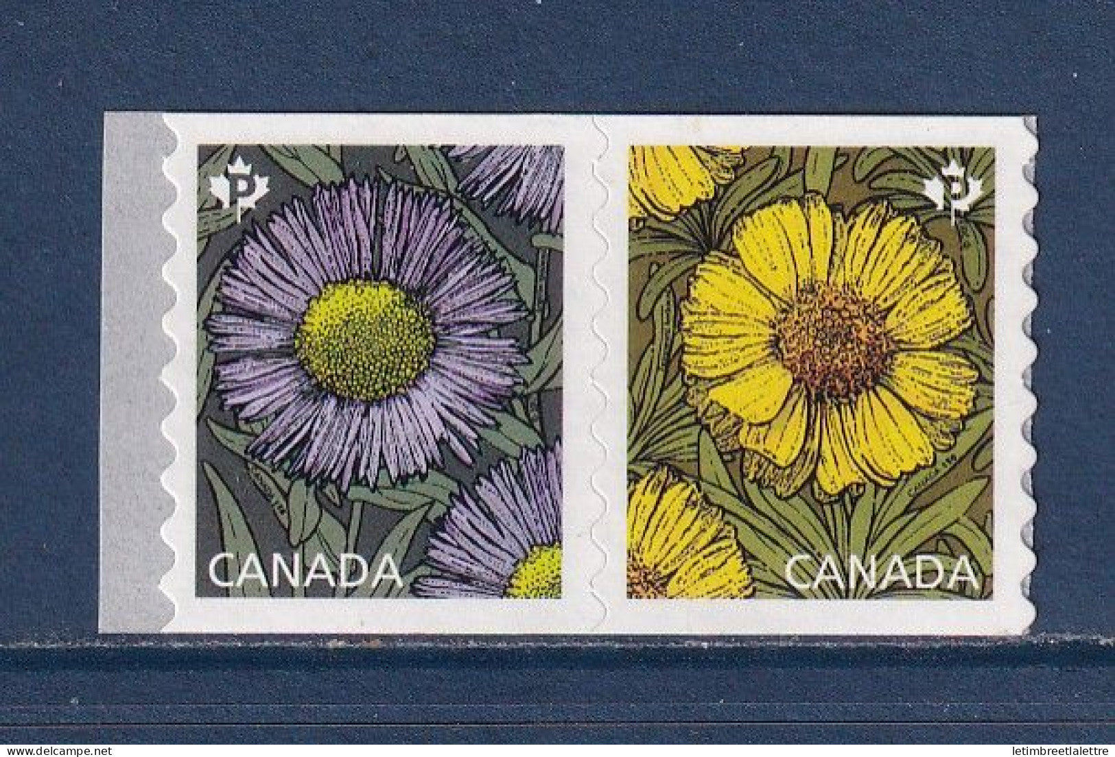 Canada - YT n° 3341 et 3342 ** - Neuf sans charnière - Fleurs - Marguerites - 2017